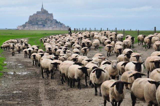 B&B La Rive - Le Mont Saint Michel Ardevon Exterior foto